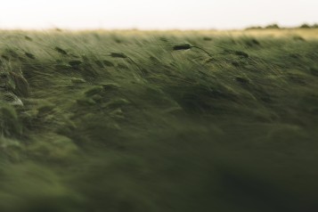 Доверие<br>создается